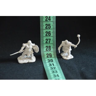 D&D Nolzur's Marvelous Miniatures: Dwarf Fighter Female