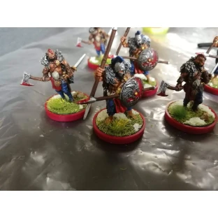 Dekorace Army Painter - Meadow Flowers