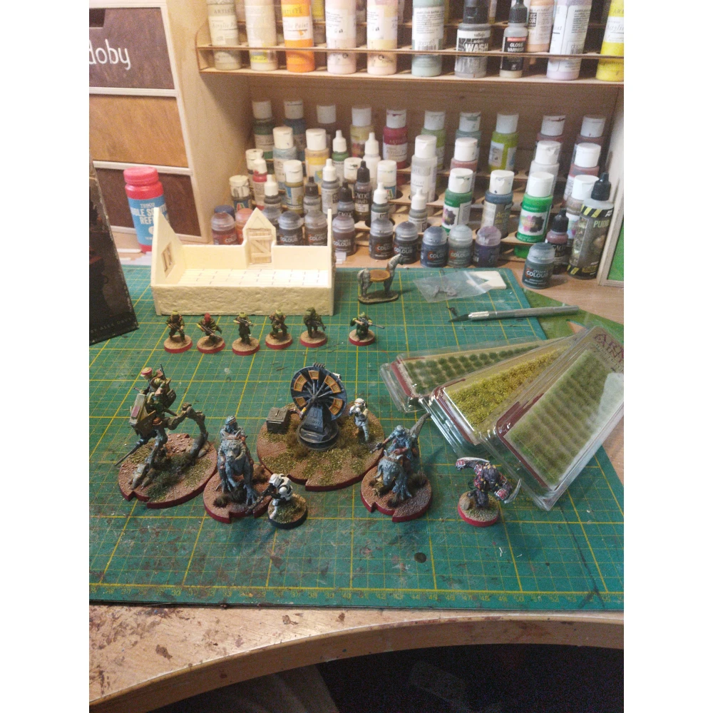 Dekorace Army Painter - Meadow Flowers