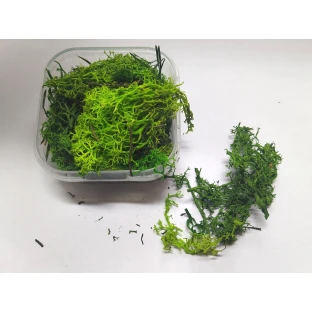 Dekorace Army Painter - Summer Undergrowth, posyp