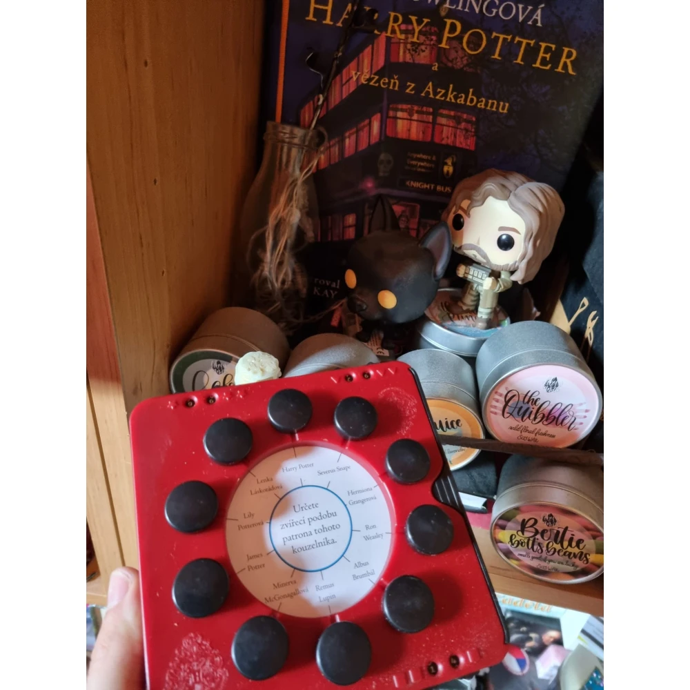 Desítka: Harry Potter