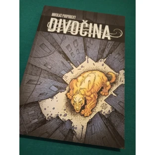 Divočina