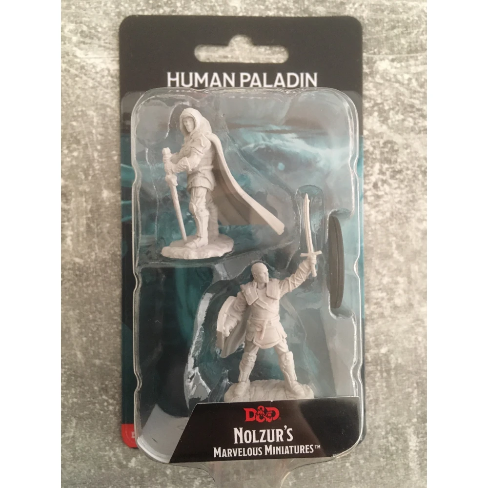Dungeon & Dragons Nolzur's Marvelous Miniatures - Ľudský paladin muž