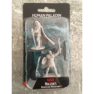 Dungeon & Dragons Nolzur's Marvelous Miniatures - Ľudský paladin muž