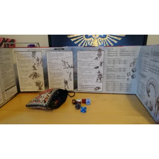 Dungeons and Dragons: Reincarnated DM Screen