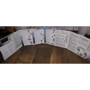 Dungeons and Dragons: Reincarnated DM Screen