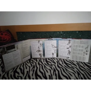Dungeons and Dragons: Reincarnated DM Screen