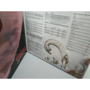 Dungeons and Dragons: Reincarnated DM Screen