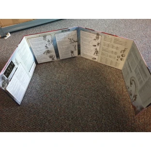 Dungeons and Dragons: Reincarnated DM Screen