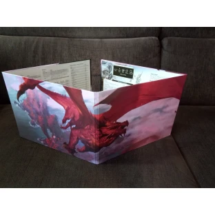 Dungeons and Dragons: Reincarnated DM Screen