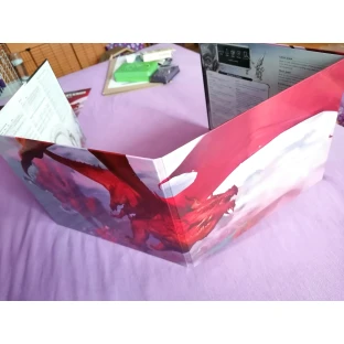 Dungeons and Dragons: Reincarnated DM Screen