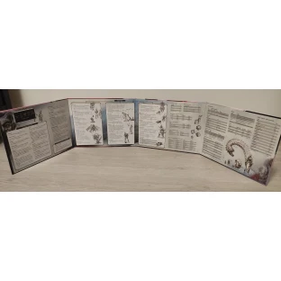 Dungeons and Dragons: Reincarnated DM Screen