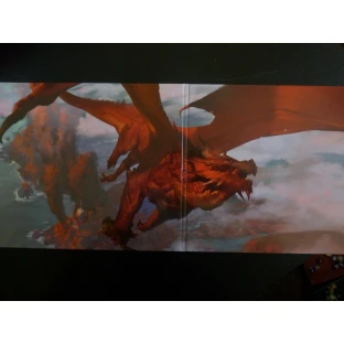 Dungeons and Dragons: Reincarnated DM Screen