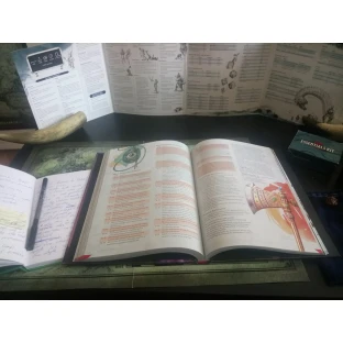 Dungeons & Dragons: Dungeon Master's Guide