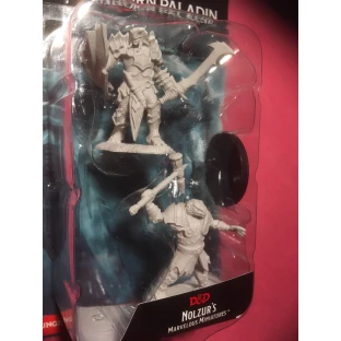 Dungeons & Dragons: Nolzur's Miniatures - Male Dragonborn Paladin