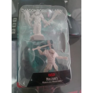 Dungeons & Dragons: Nolzur's Miniatures - Male Dragonborn Paladin