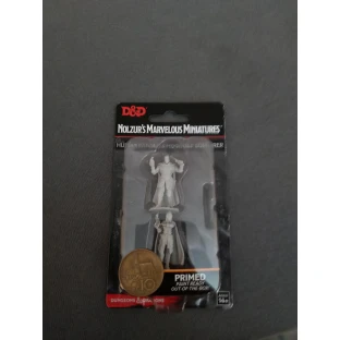 Dungeons & Dragons: Nolzur's Miniatures - Minsc & Delina