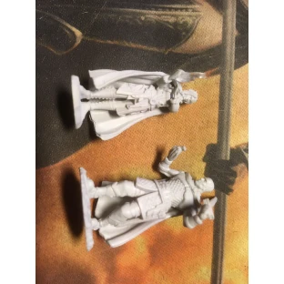 Dungeons & Dragons: Nolzur's Miniatures - Minsc & Delina