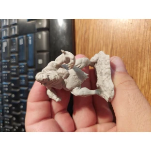 Dungeons & Dragons: Nolzur's Miniatures - Venom Troll
