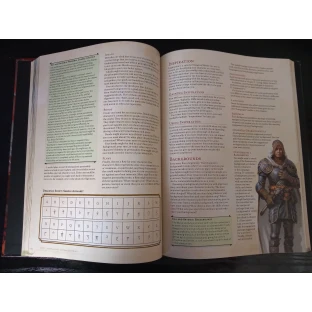 Dungeons & Dragons: Player's Handbook