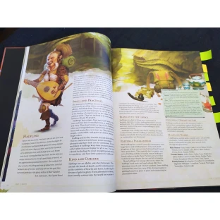 Dungeons & Dragons: Player's Handbook