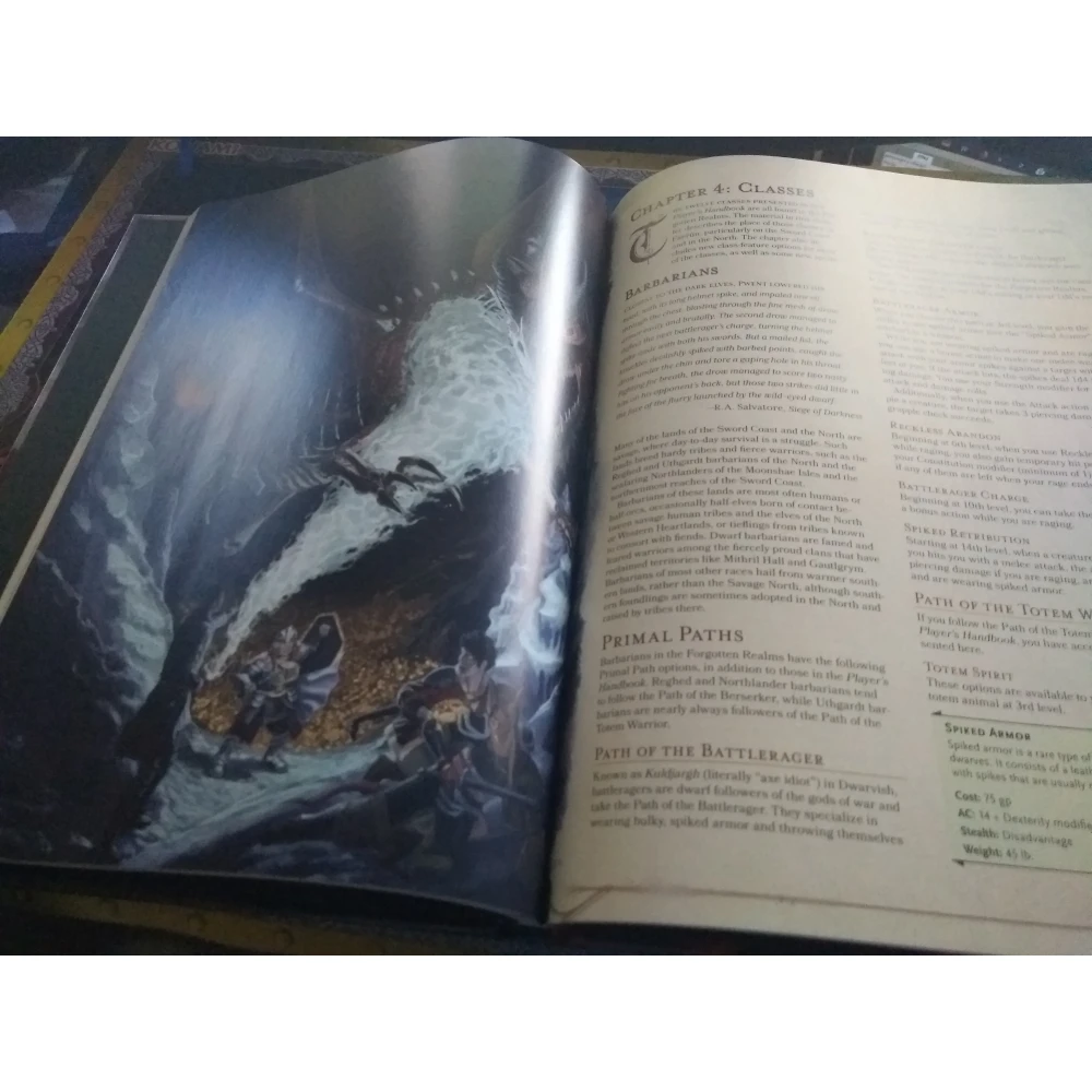 Dungeons & Dragons: Sword Coast Adventurer’s Guide