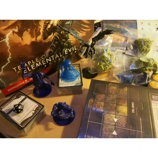 Dungeons & Dragons: Temple of Elemental Evil