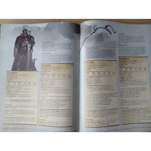 Dungeons & Dragons: Volo’s Guide to Monsters