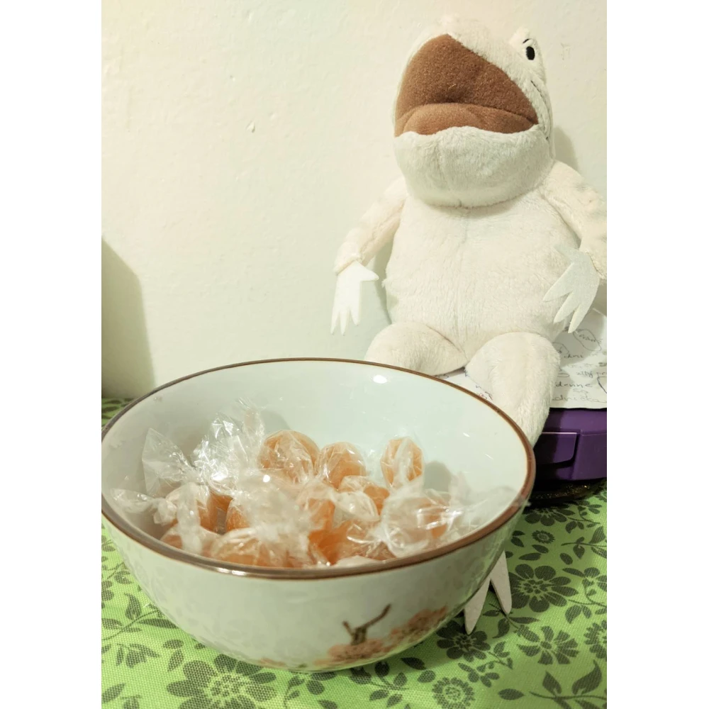 Echinacea candies