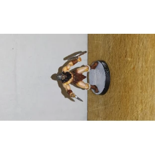 Warrior III Miniature