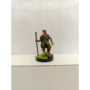 Ranger Miniature