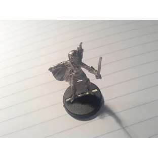 Ranger Miniature