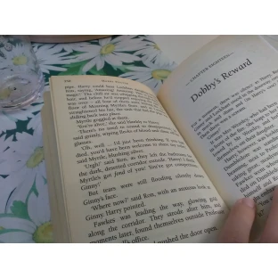 Harry Potter and the Chamber of Secrets