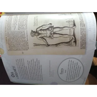 Harry Potter: Cesta dějinami čar a kouzel