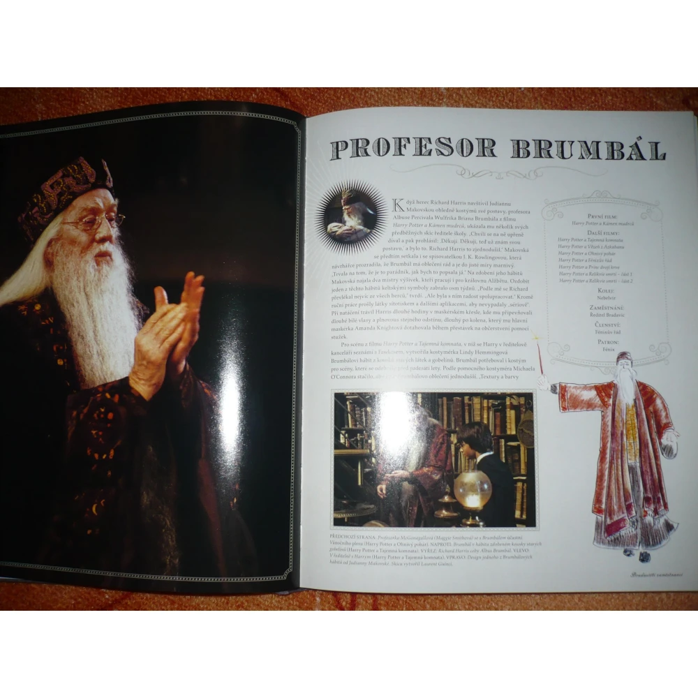 Harry Potter - Panoptikum postáv
