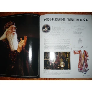 Harry Potter - Panoptikum postáv