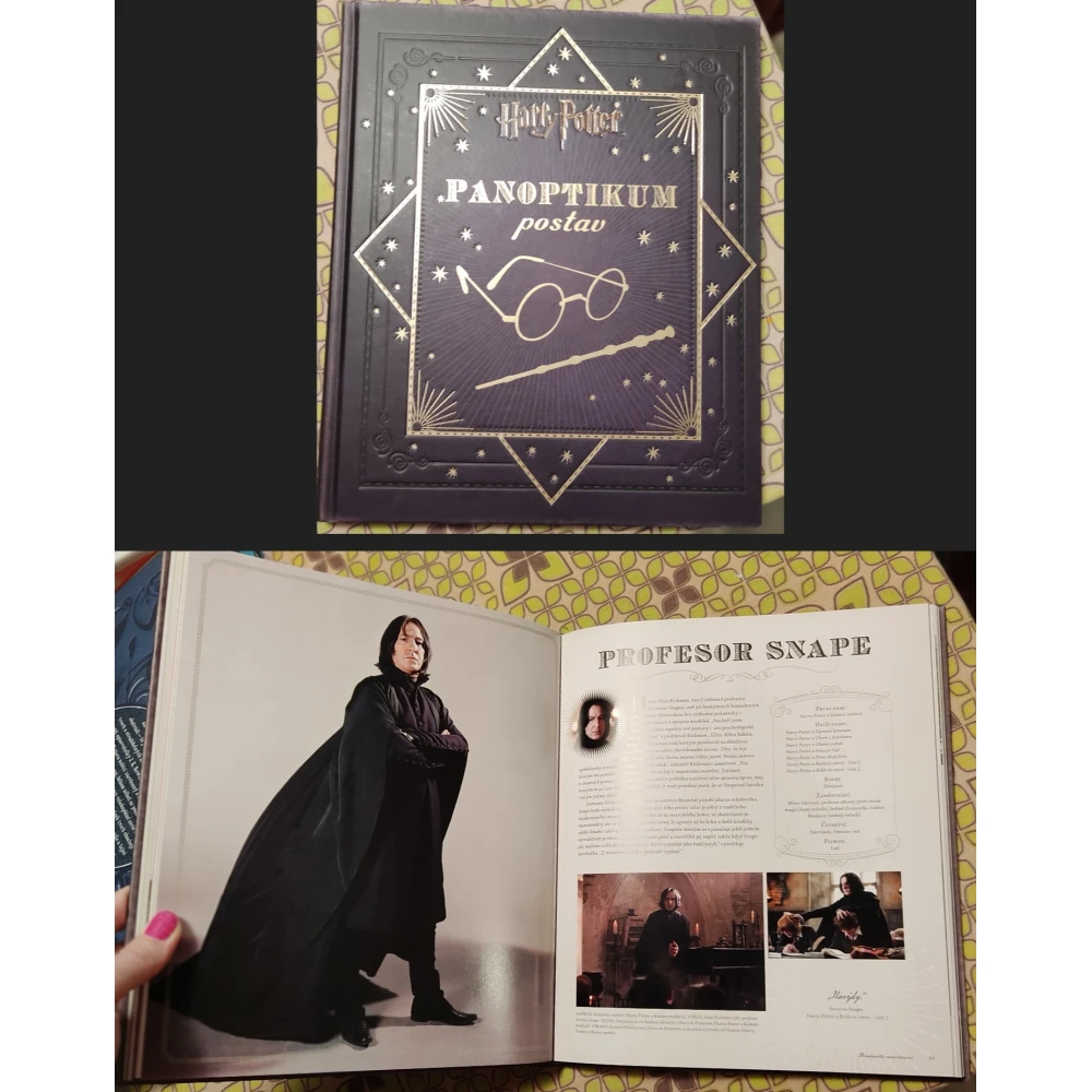 Harry Potter - Panoptikum postáv