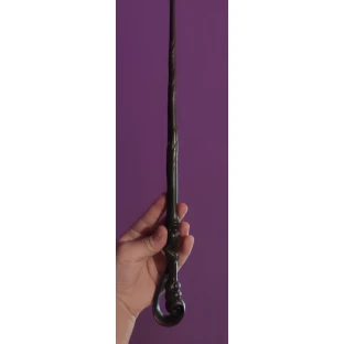 Fleur Delacour's Wand