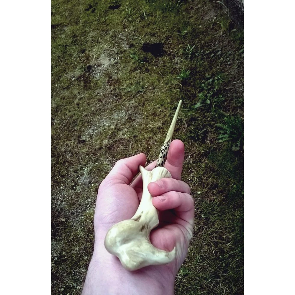 Lord Voldemort's Wand with Ollivander's Box