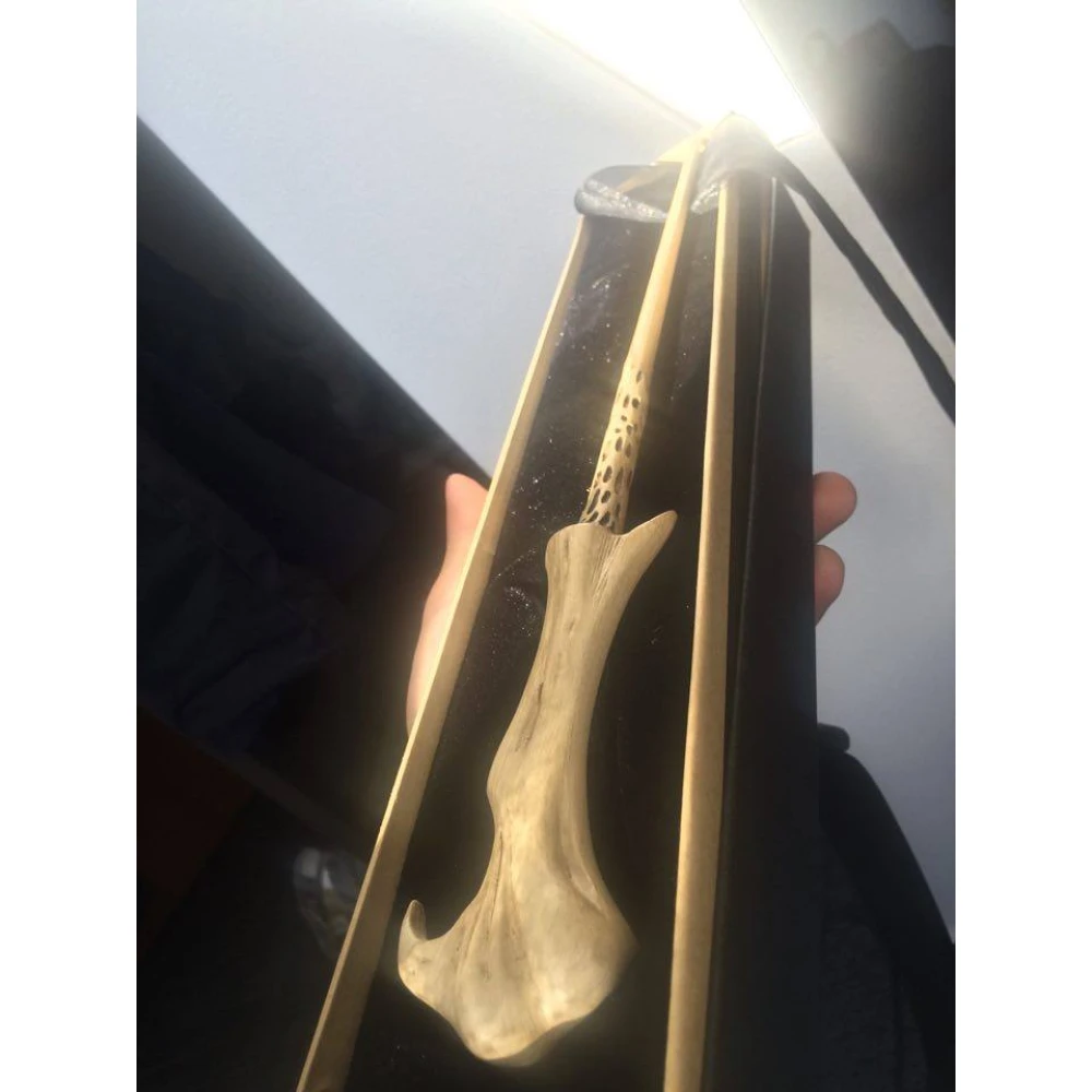 Lord Voldemort's Wand with Ollivander's Box