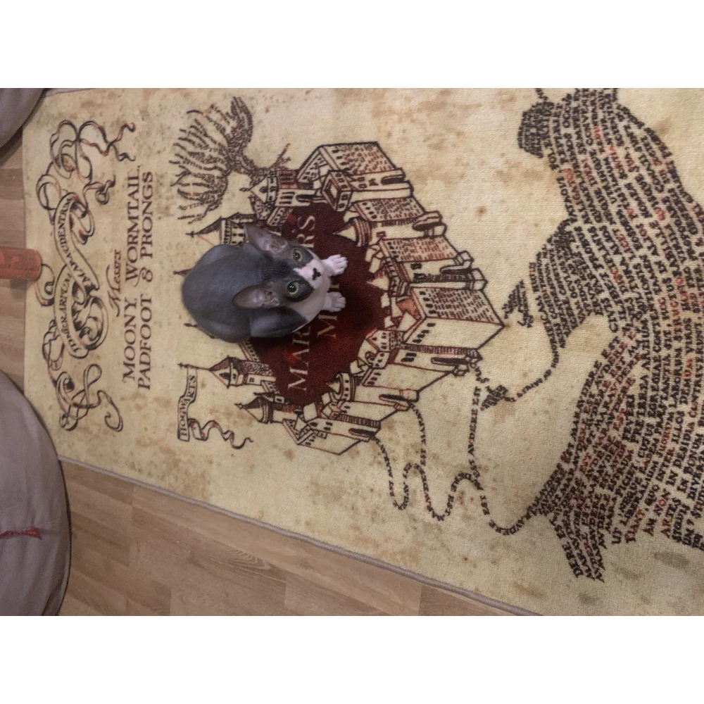 Harry Potter Teppich - Karte des Rumtreibers