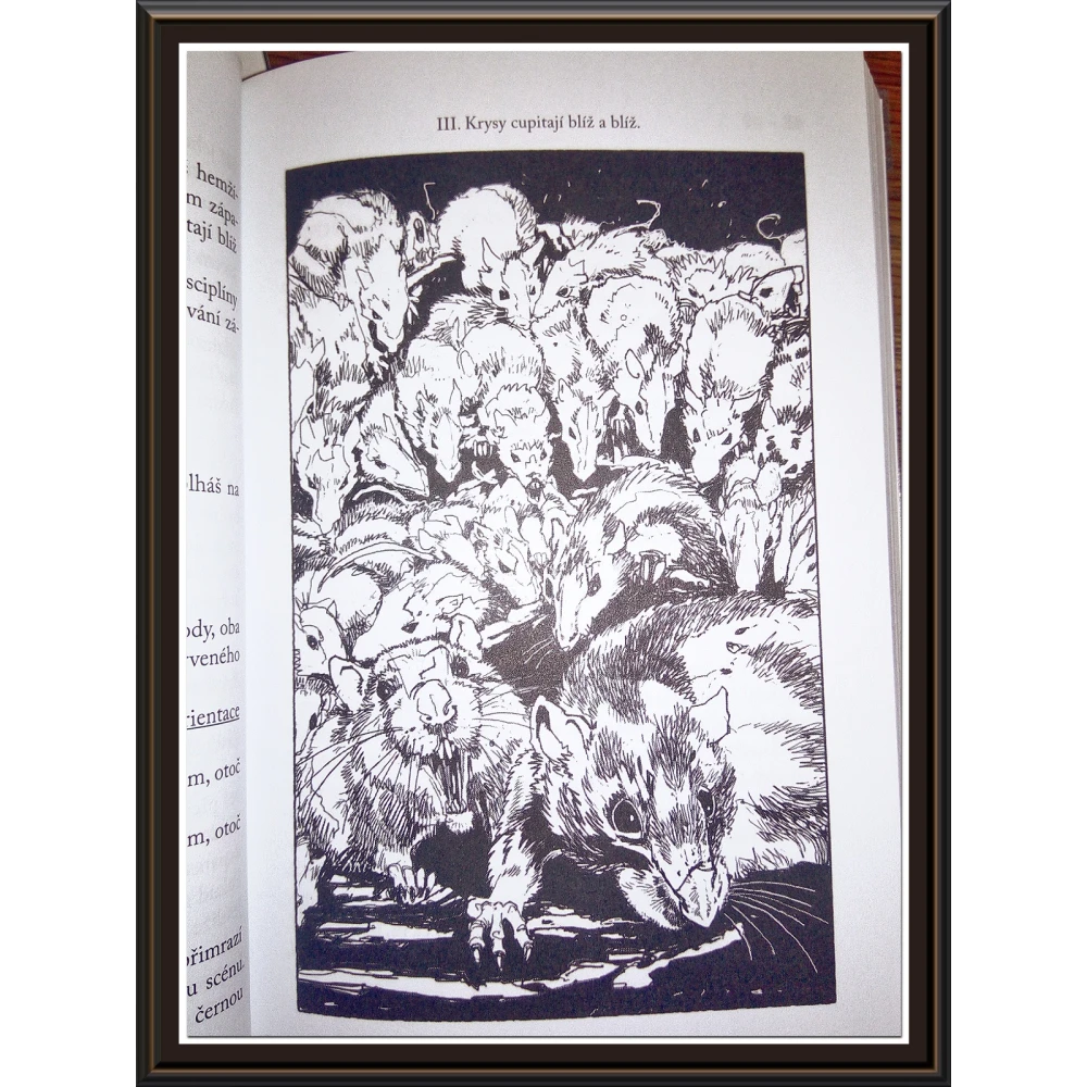 Lone Wolf: Hrad smrti