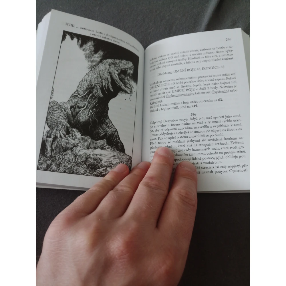 Lone Wolf: Prokletí z Ruelu