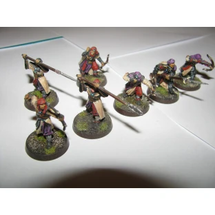 LoTR Strategy Battle Game: Haradrim Warriors