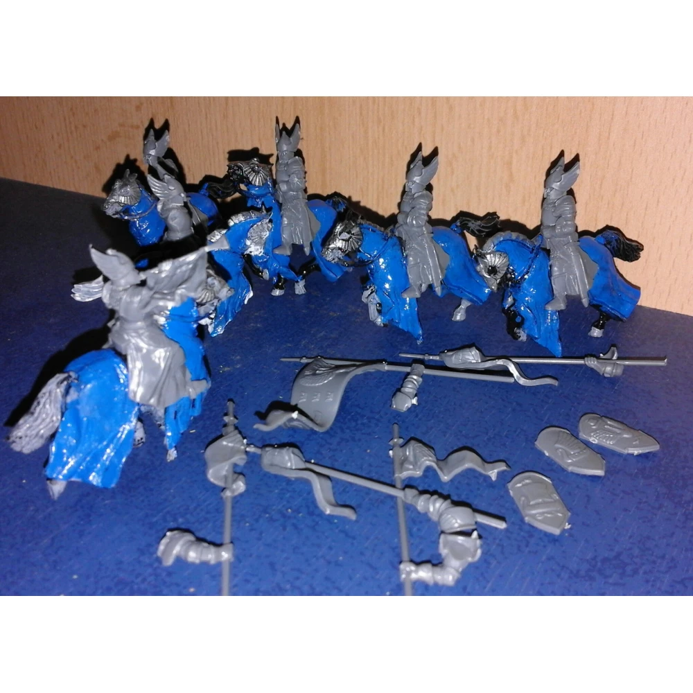 LoTR Strategy Battle Game: Knights of Dol Amroth