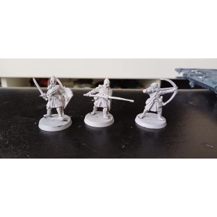 LoTR Strategy Battle Game: Osgiliath Veterans