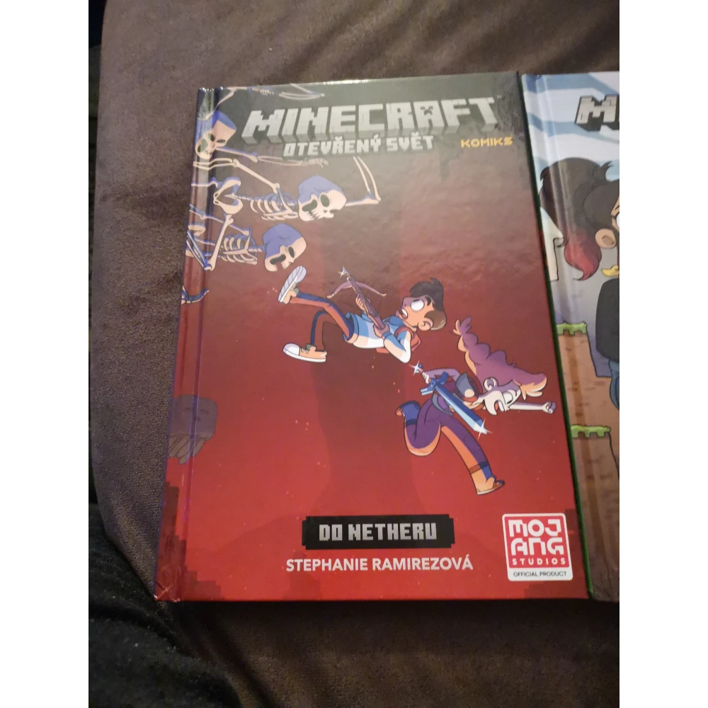 Minecraft komiks: Otevřený svět - Do Netheru