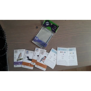 Obaly na karty 57 x 89 mm (FFG)