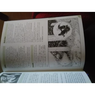 Old-School Essentials: Klasická fantasy - kniha pravidel