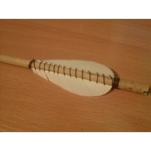 Perové letky